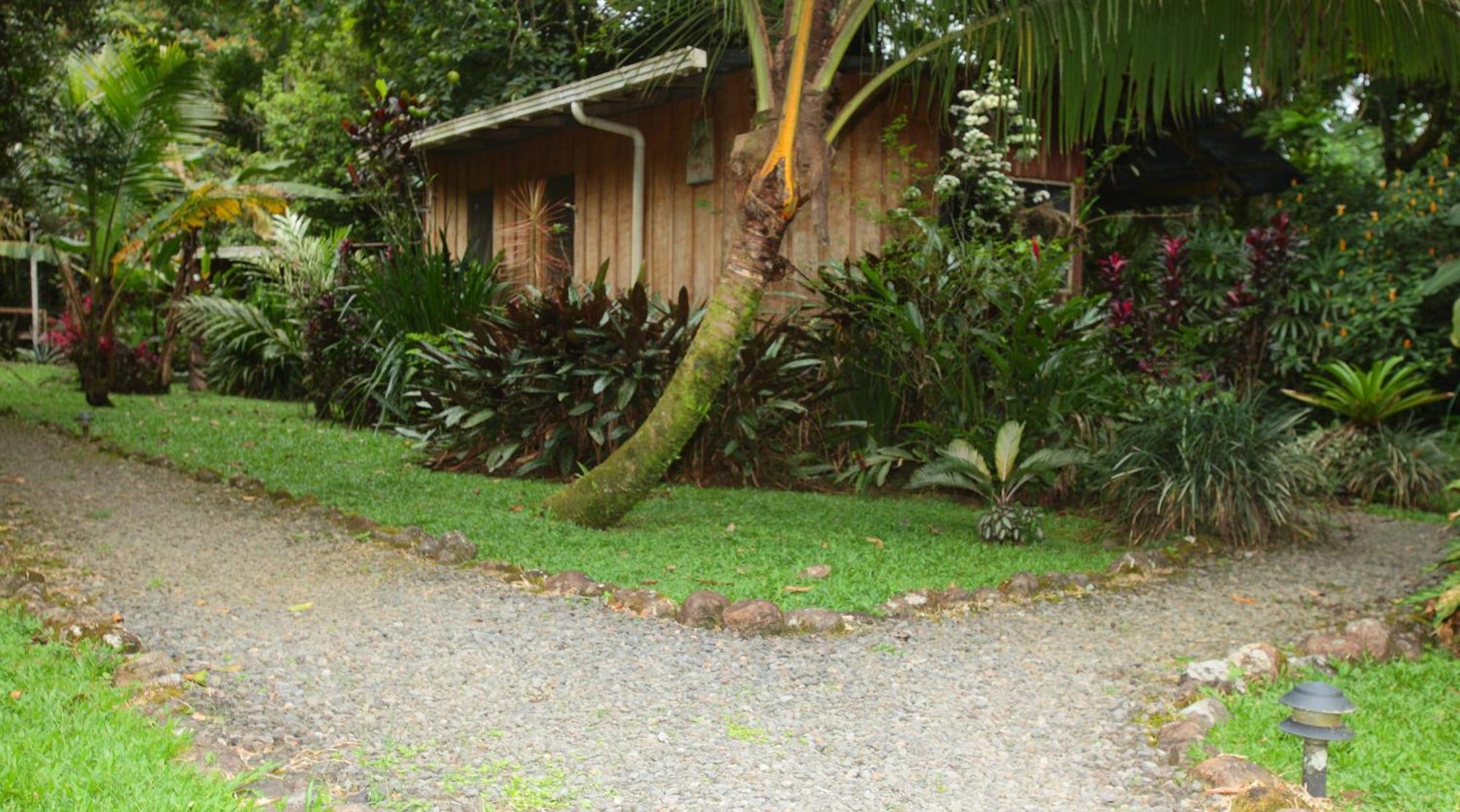 Casa Rio Blanco Eco Friendly B&B Guápiles Zewnętrze zdjęcie