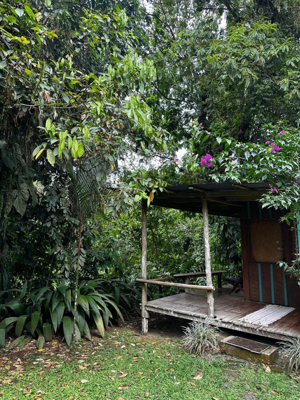 Casa Rio Blanco Eco Friendly B&B Guápiles Zewnętrze zdjęcie