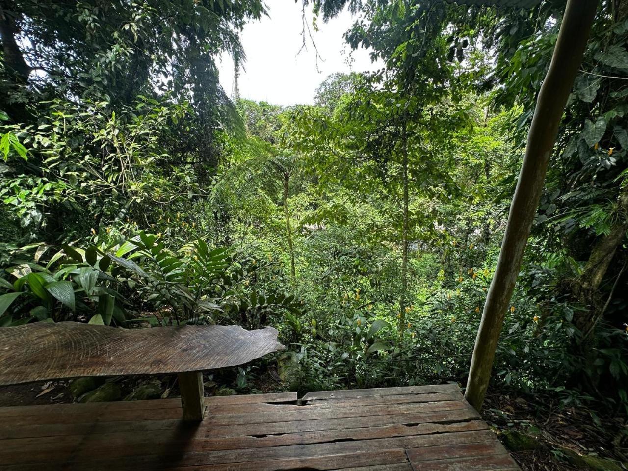 Casa Rio Blanco Eco Friendly B&B Guápiles Zewnętrze zdjęcie