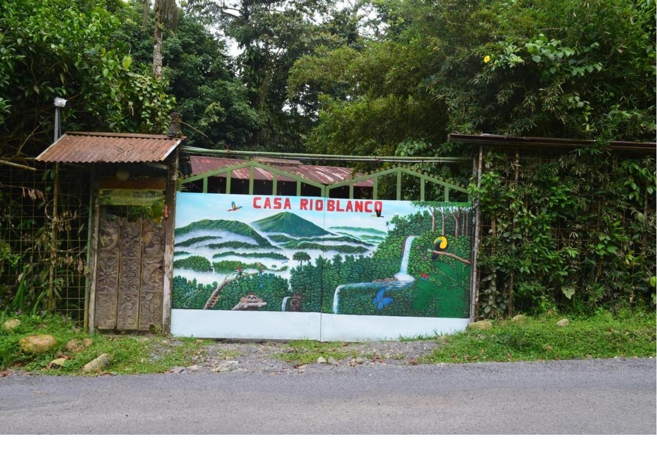 Casa Rio Blanco Eco Friendly B&B Guápiles Zewnętrze zdjęcie