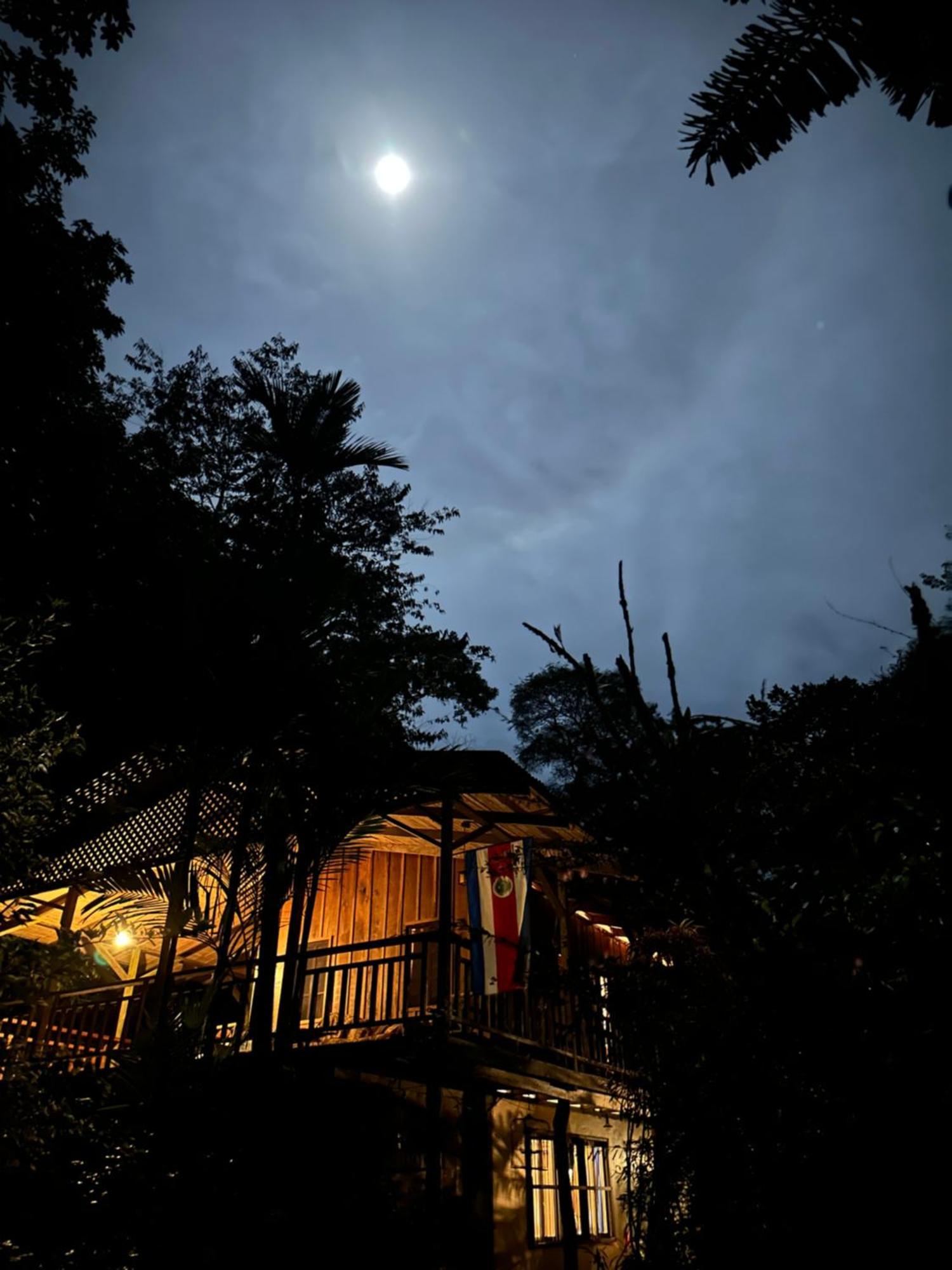Casa Rio Blanco Eco Friendly B&B Guápiles Zewnętrze zdjęcie