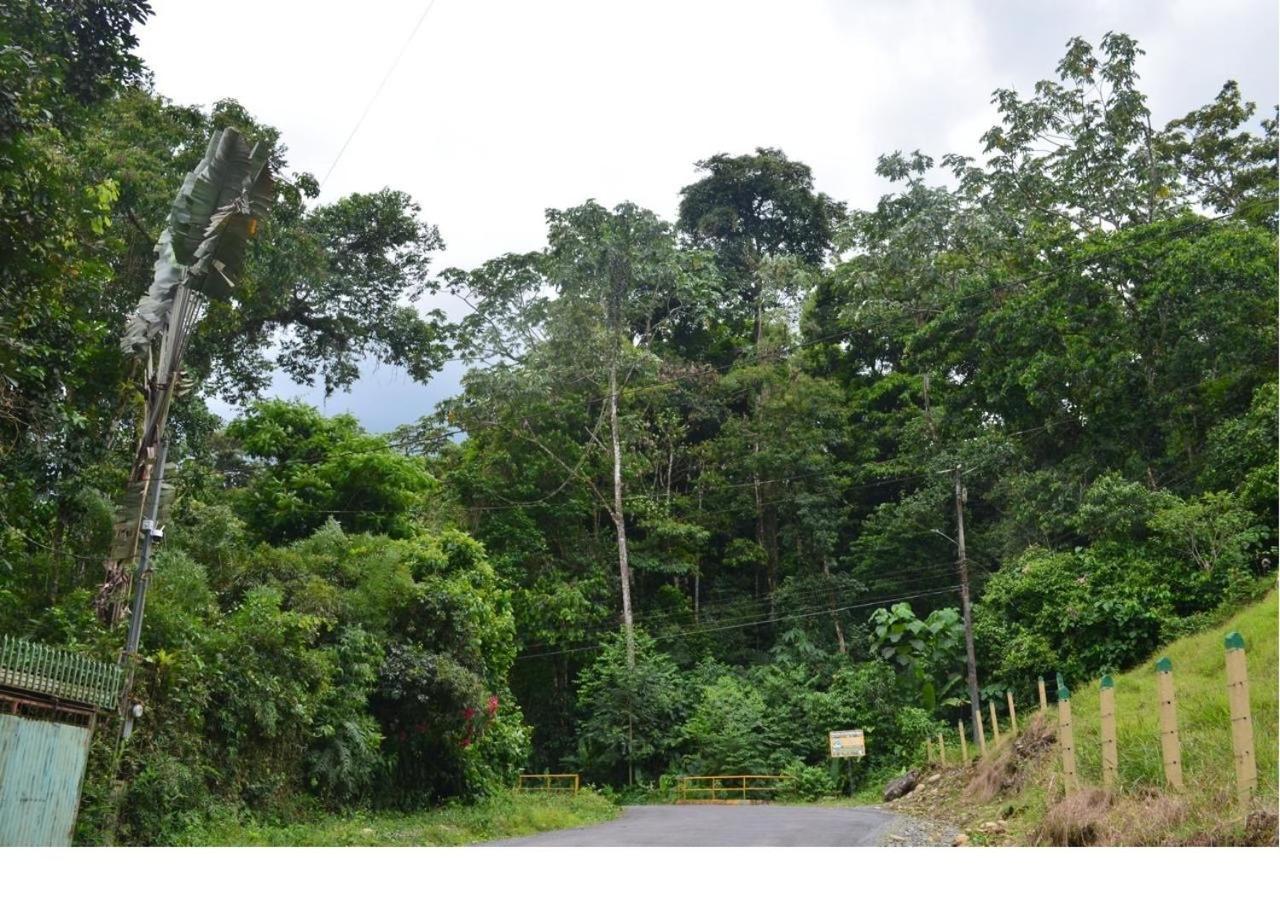 Casa Rio Blanco Eco Friendly B&B Guápiles Zewnętrze zdjęcie