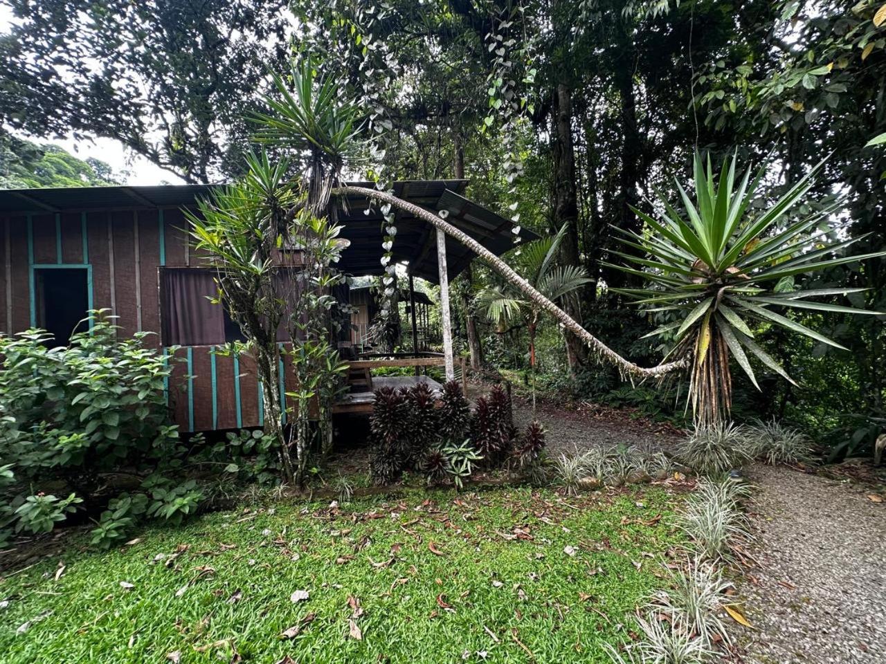 Casa Rio Blanco Eco Friendly B&B Guápiles Zewnętrze zdjęcie
