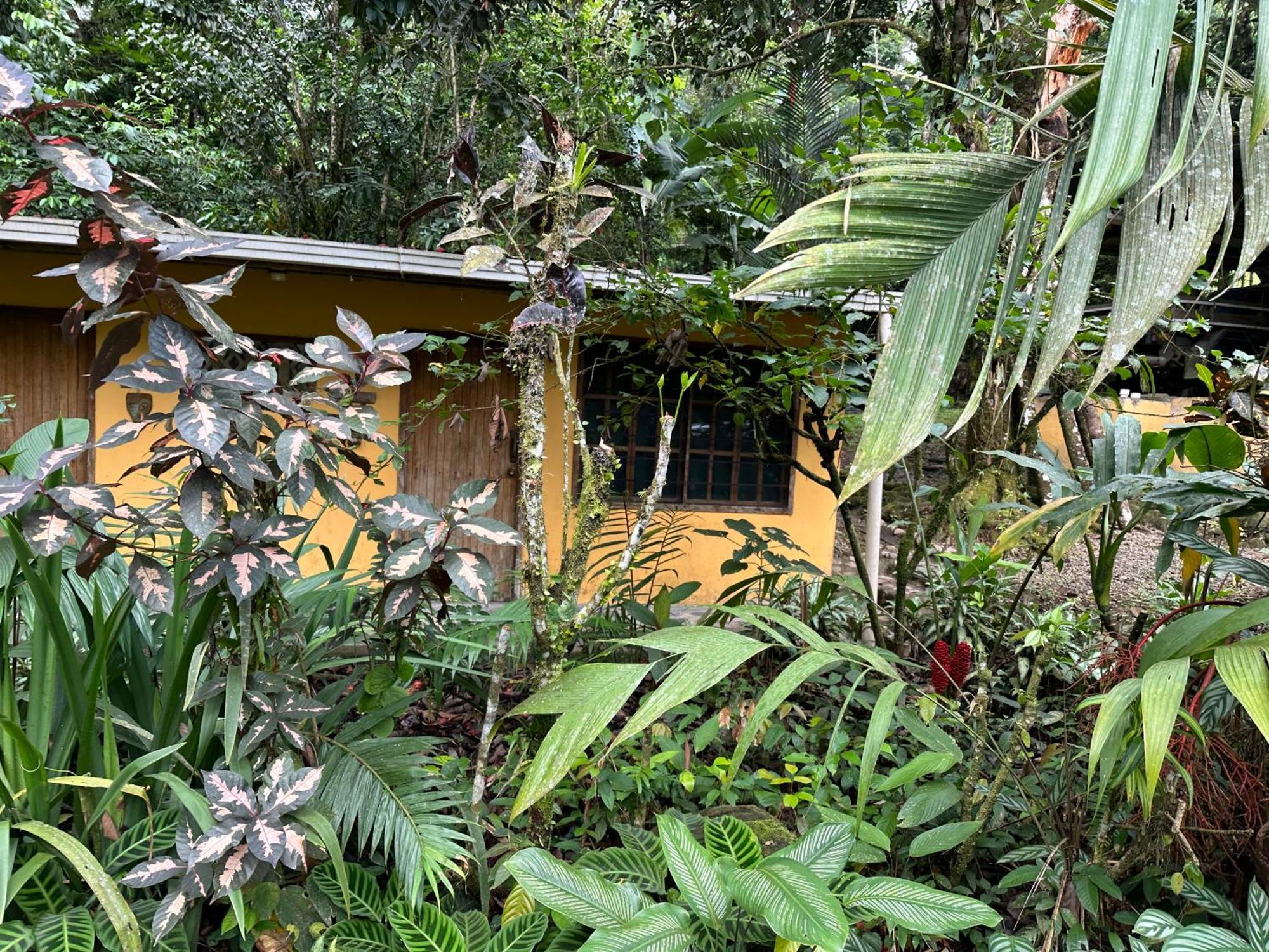 Casa Rio Blanco Eco Friendly B&B Guápiles Zewnętrze zdjęcie