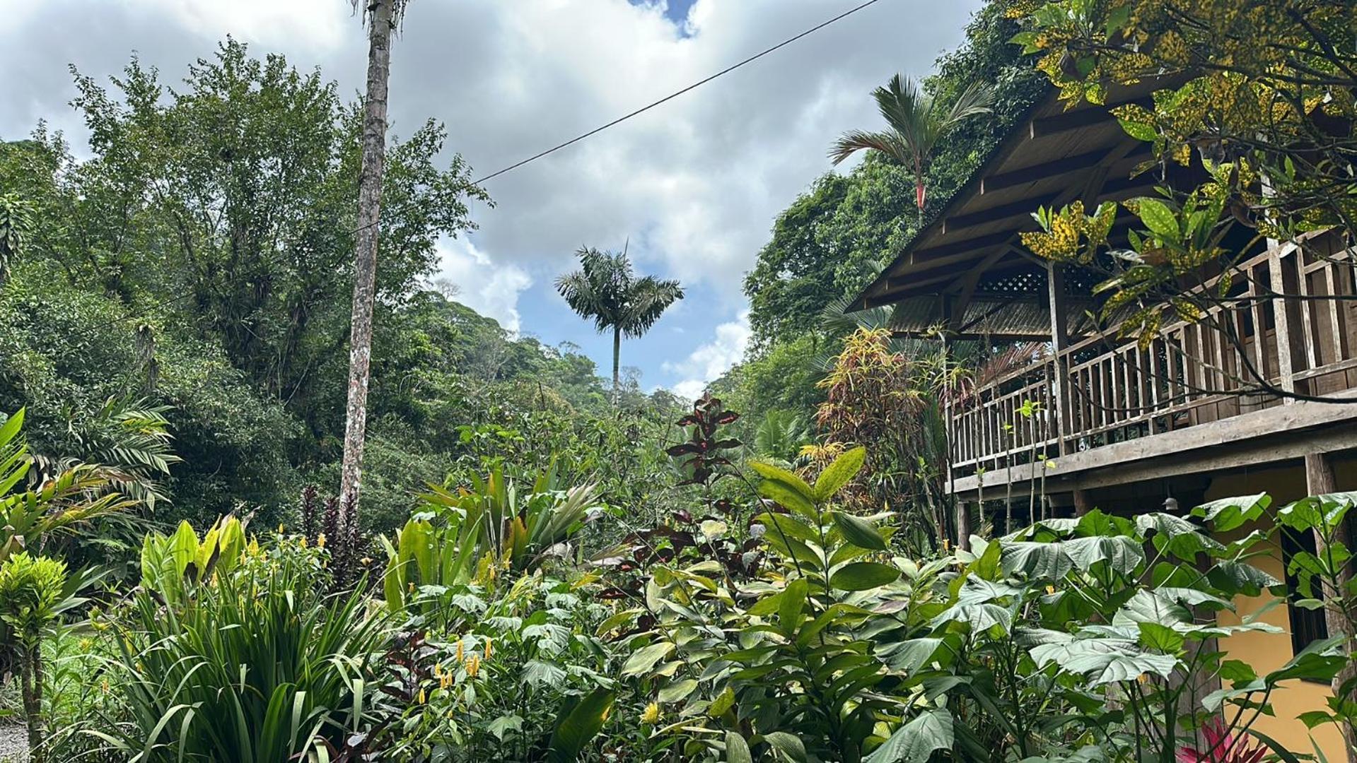 Casa Rio Blanco Eco Friendly B&B Guápiles Zewnętrze zdjęcie