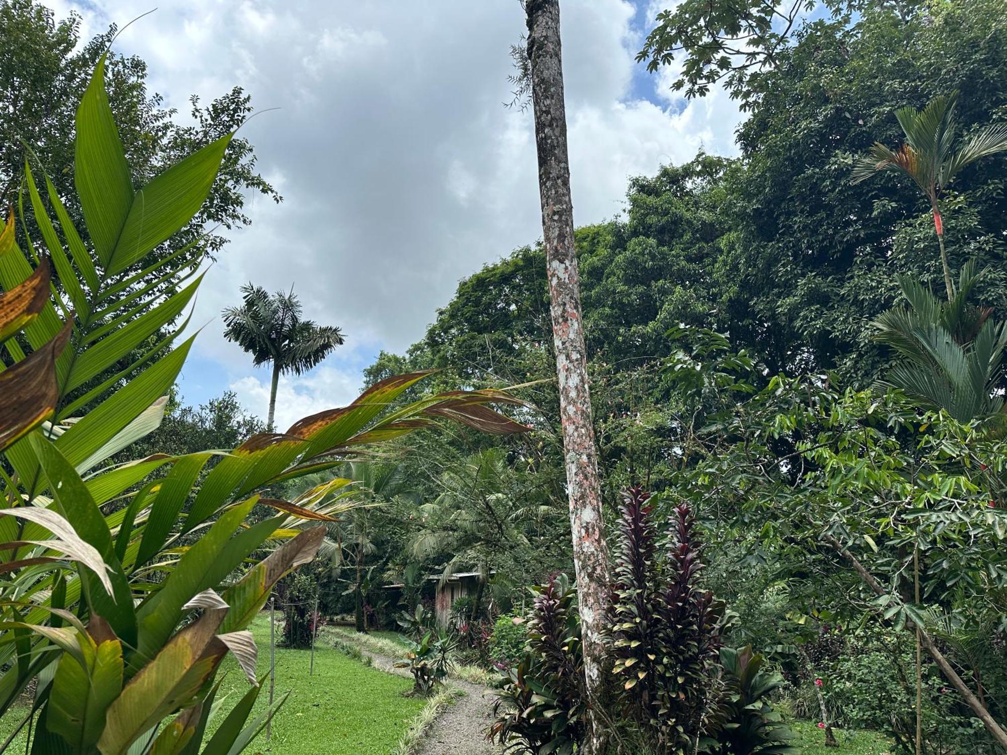 Casa Rio Blanco Eco Friendly B&B Guápiles Zewnętrze zdjęcie