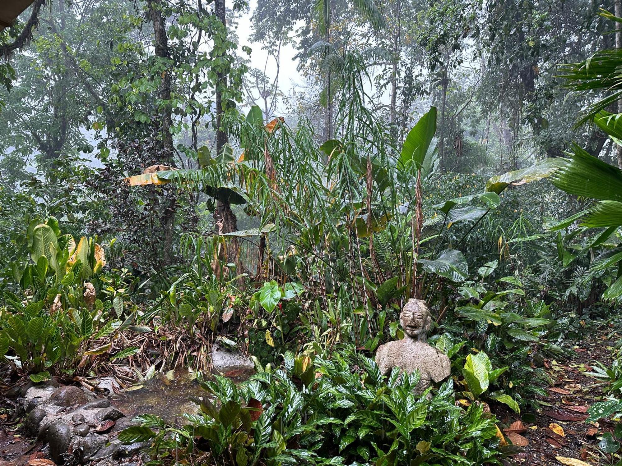 Casa Rio Blanco Eco Friendly B&B Guápiles Zewnętrze zdjęcie