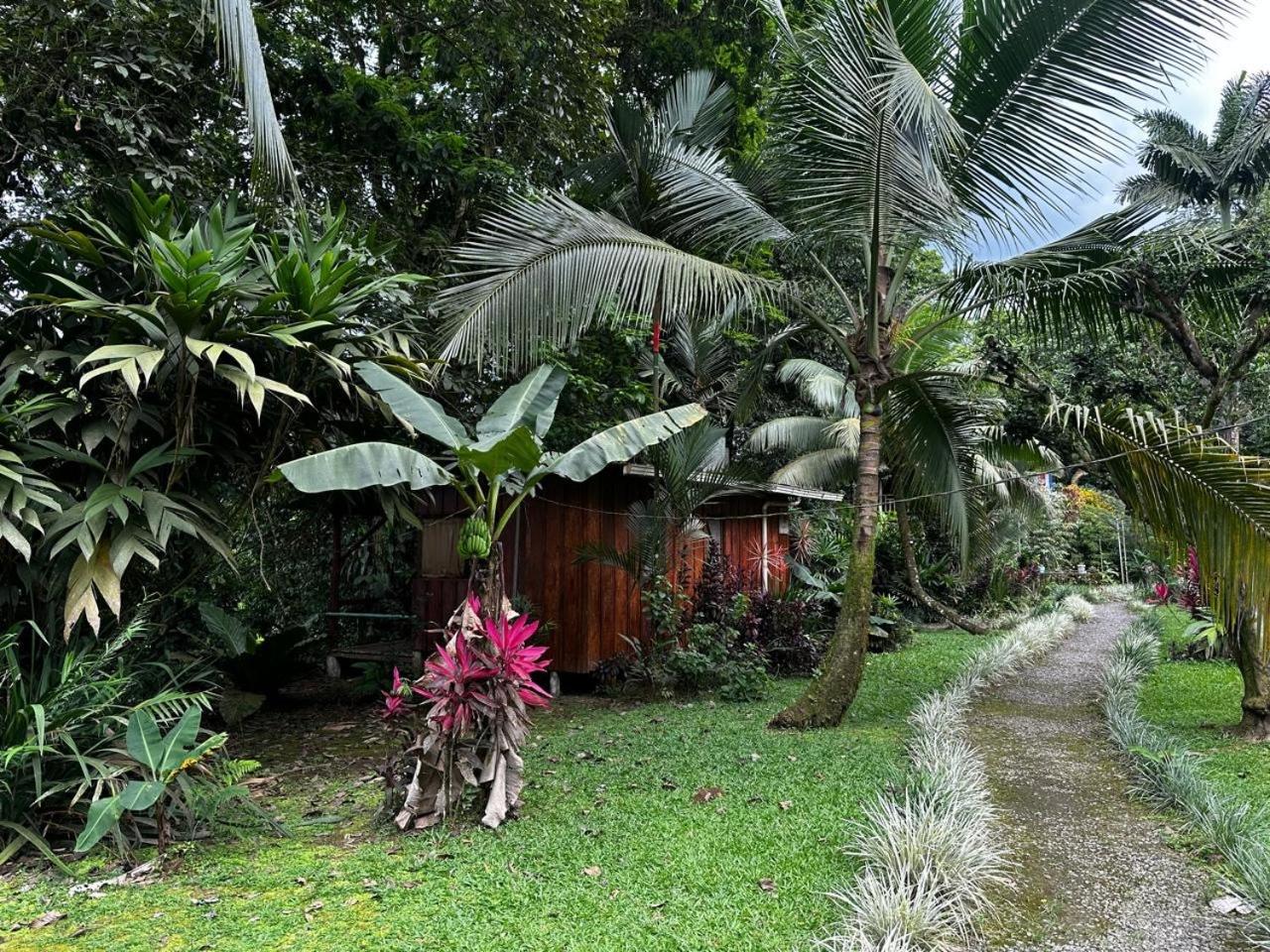 Casa Rio Blanco Eco Friendly B&B Guápiles Zewnętrze zdjęcie