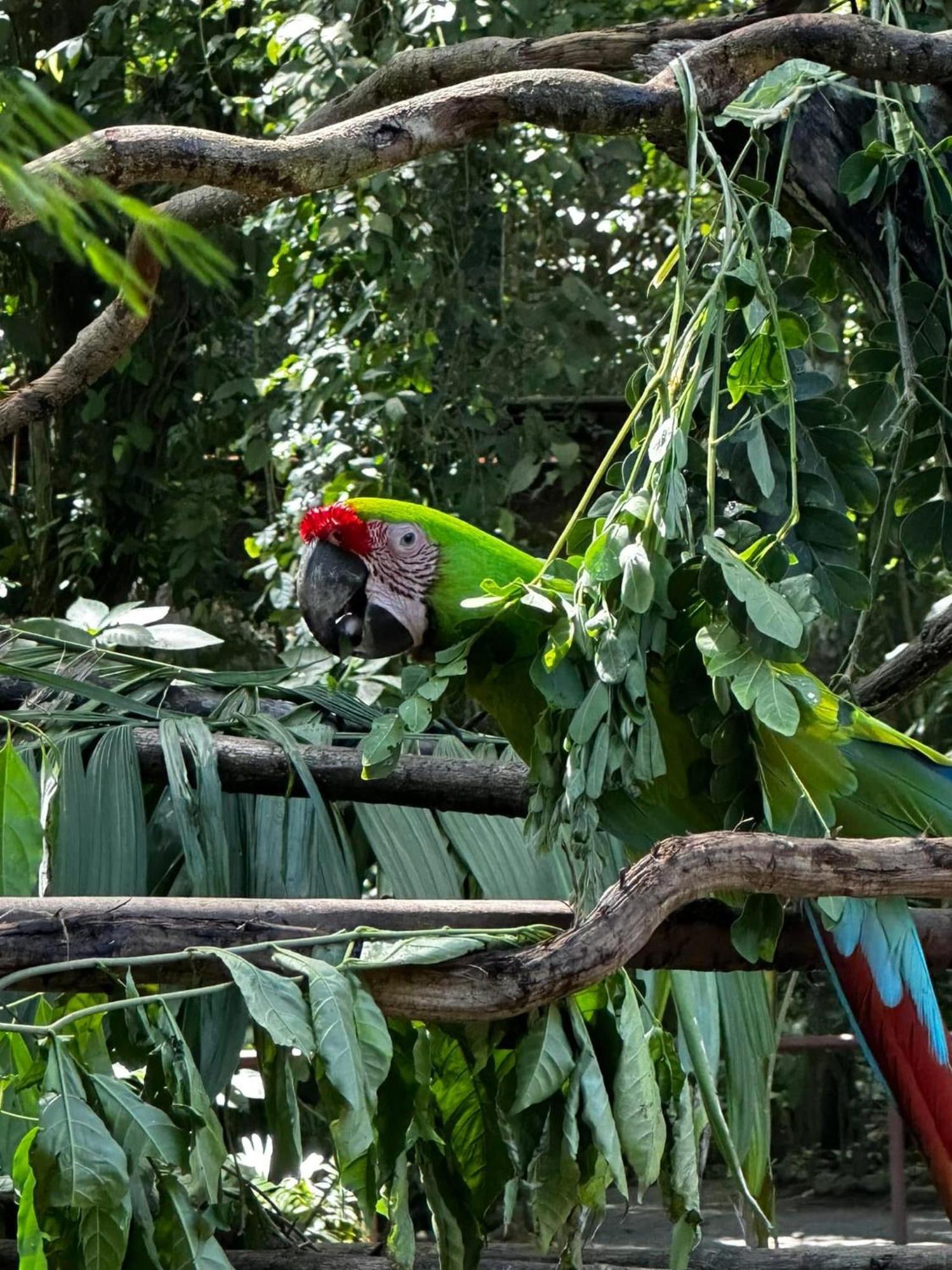 Casa Rio Blanco Eco Friendly B&B Guápiles Zewnętrze zdjęcie