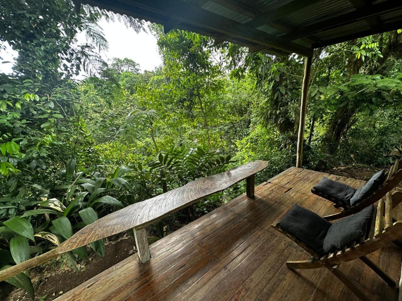 Casa Rio Blanco Eco Friendly B&B Guápiles Zewnętrze zdjęcie