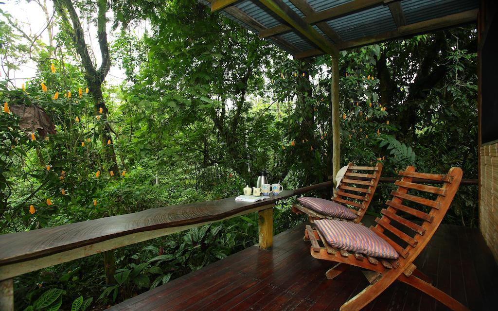 Casa Rio Blanco Eco Friendly B&B Guápiles Zewnętrze zdjęcie